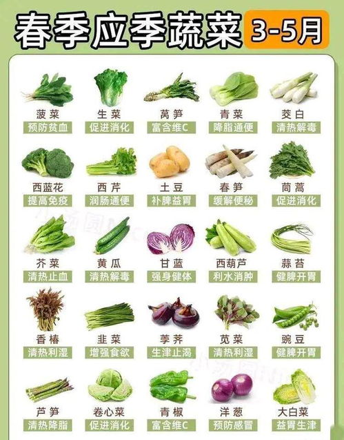 温性平性蔬菜大全一览表 30种温性蔬菜