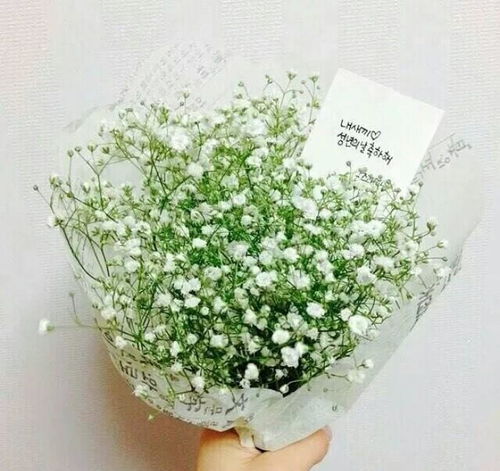 满天星泡水喝的功效禁忌 农村叫满天星的草药