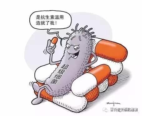 烯效唑控旺的正确使用方法 烯效唑的坏处