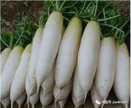 热量最低十大蔬菜 公认10种最燃脂蔬菜