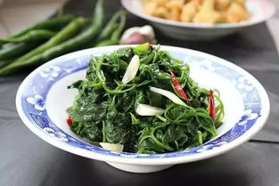 灰灰菜的副作用 四种人不能吃灰灰菜