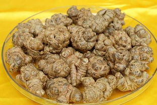 牛蒡根的作用与功效 牛蒡根伤肝最大