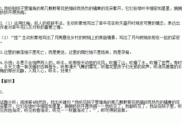 牵牛花的秘密 牵牛花它的秘密