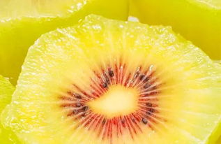 猕猴桃哪个品种最好吃 猕猴桃排名第一名