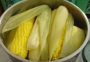 玉米蒸30分钟会老吗 玉米大火煮了40分钟能吃吗