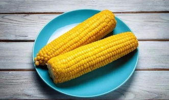 玉米代替主食会发胖吗 玉米可以连续每天吃吗