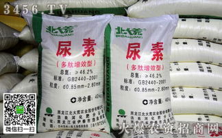玉米施尿素的正确方法 玉米施尿素的最佳时间