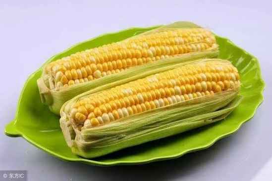 玉米属于主食吗 吃过玉米别碰八种食物