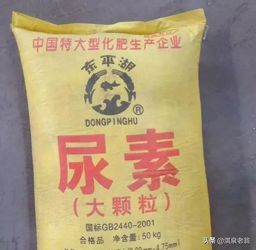玉米最后一次追肥时间 尿素肥料肥效多长时间