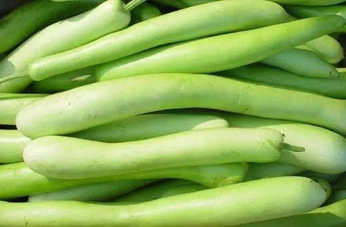 玉竹能治什么病 玉竹对男性性功能的影响