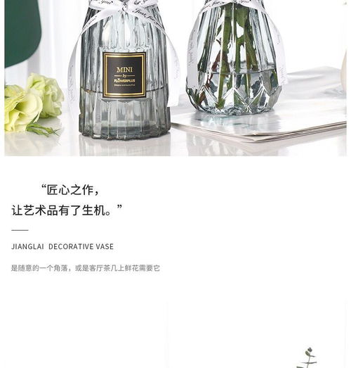 玫瑰花怎么插花瓶水养 玫瑰插水里为什么活不了