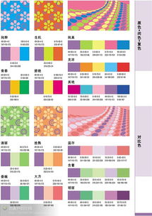 玫红色搭配什么颜色好看 玫红色最佳颜色搭配