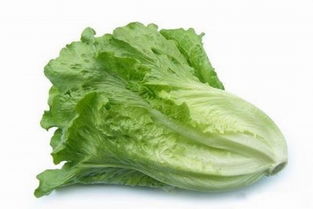 球生菜需要一片一片洗吗 生菜球里层用不用洗