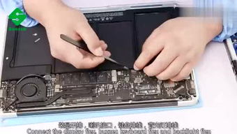 瑞普909有几个品牌 瑞普909缺点和不足