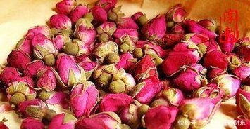 玫瑰花种子可以直接种吗 网上买的玫瑰花种子能种活吗