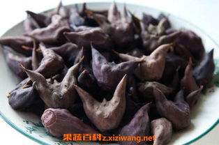 现在为什么没人吃菱角了 吃菱角的五大禁忌