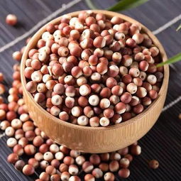 瓠子学名叫什么 瓠子的食用禁忌