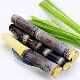 甘蔗7月份8月份可以吃吗 8月份有甘蔗吗