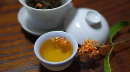生茶适合什么样的人喝 生茶为什么不能直接喝
