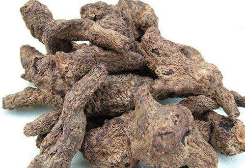 生地对肝脏有什么作用 生地副作用对肝脏的损害