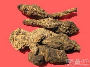 生地主要治什么病 生地治什么病最好最快