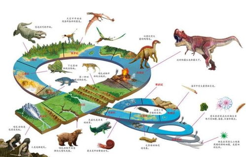 生物演变过程 地球生物演变经历的五个阶段