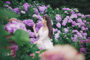 生如夏花能表达爱情吗 生如夏花寓意好吗