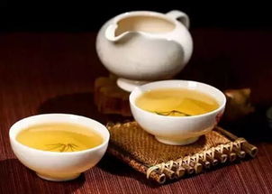 生茶为什么不能直接喝 生茶怎么泡好喝