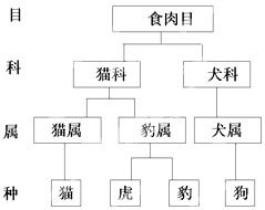 生物包括哪五大类 生物最完整的分类图