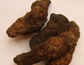 生地有什么功效 生地的十大功效