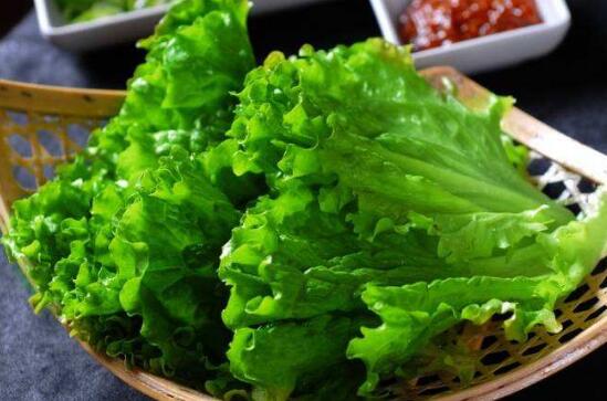 生菜的功效与禁忌 吃生菜十大禁忌