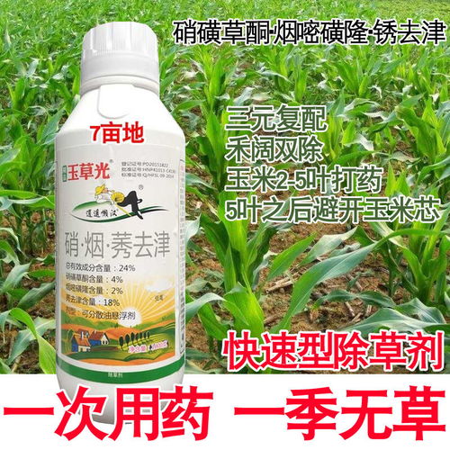 甲嘧磺隆喷后几天草会死 甲嘧磺隆多少天起作用了