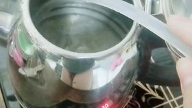 用塑料瓶生绿豆芽的方法 矿泉水瓶做绿豆芽怎么做