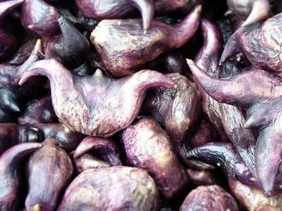 生菱角能冷冻保存吗 菱角长期保存的方法