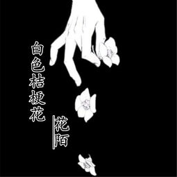 白色桔梗花歌词 桔梗花歌词