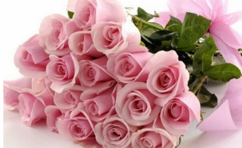 男人发2朵玫瑰暗示什么 男性送女孩两支玫瑰代表