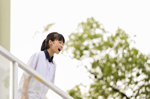 男生听七里香什么心理 七里香是暗恋还是表白
