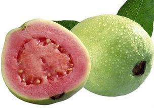 番石榴叶子煮水有毒性 石榴叶泡水喝三年了怎么样了