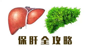 白芷伤肝还是护肝 所以主之也。是什么意思