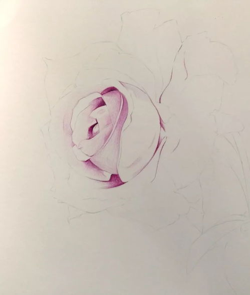 画一朵立体玫瑰花 ins风复古玫瑰花画法