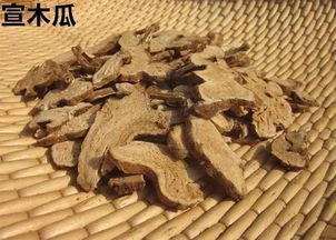 白术治什么病最好 一味白术治百病