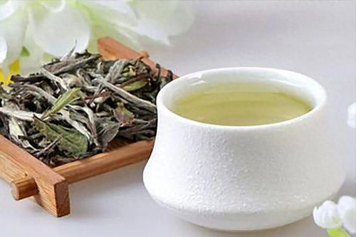 白茶喝了有什么好处 白茶对男性的好处