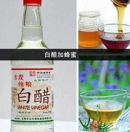 白醋加什么杀虫最好最快 白醋杀虫配方大全