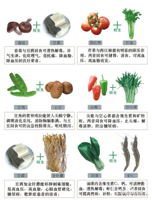 百合的十种最佳搭配 百合相克的食物