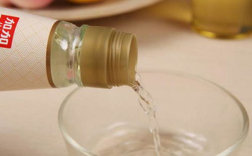 白醋去小黑飞最好方法 怎样彻底清除小黑飞