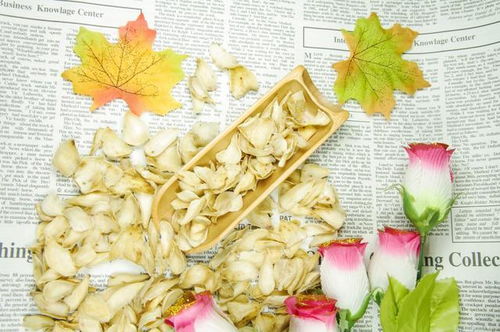 百合花能泡水喝吗 百合能提高性功能吗