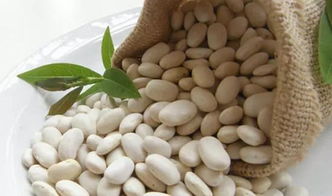 白芸豆减肥副作用曝光是真的吗 白芸豆阻断是智商税吗