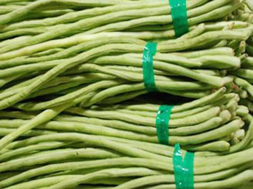 相克的菜不能种一起 什么菜一起吃会食物中毒