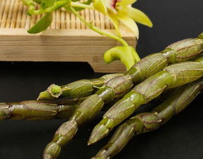 石斛治什么病最好最快 女性吃石斛的10大好处