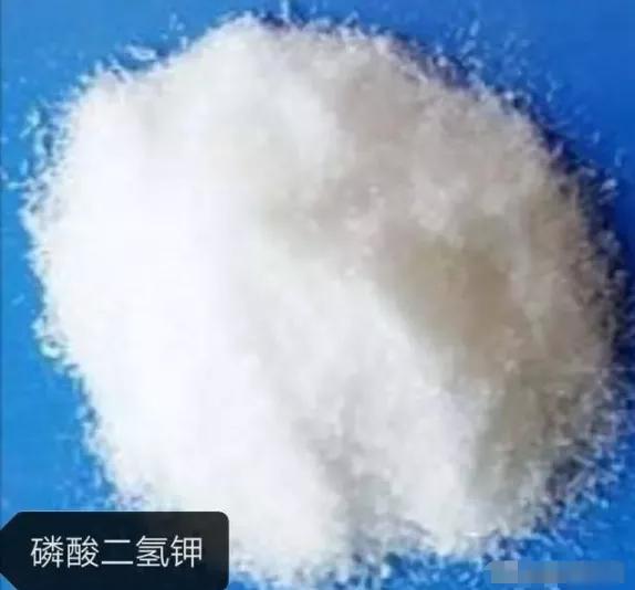 磷酸二氢钾隔几天喷一次 磷酸二氢钾加红糖喷施功效